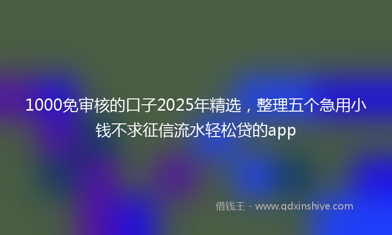 1000免审核的口子2025年精选，整理五个急用小钱不求征信流水轻松贷的app