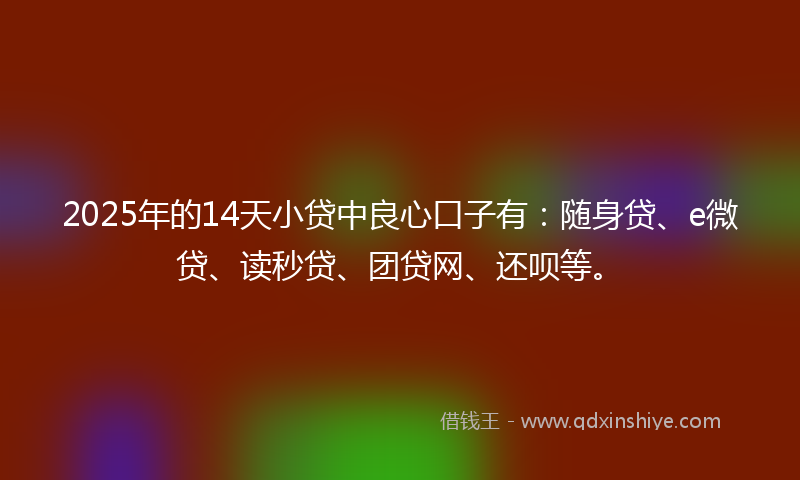 2025年的14天小贷中良心口子有：随身贷、e微贷、读秒贷、团贷网、还呗等。