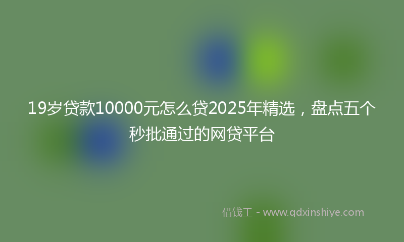 19岁贷款10000元怎么贷2025年精选，盘点五个秒批通过的网贷平台
