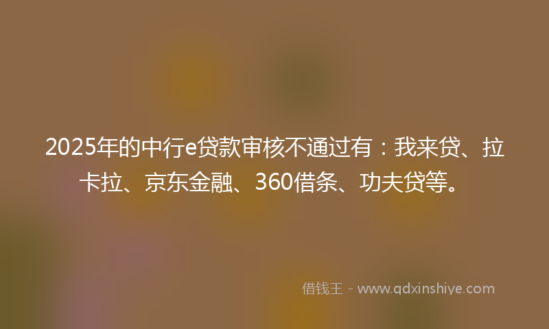 2025年的中行e贷款审核不通过有：我来贷、拉卡拉、京东金融、360借条、功夫贷等。