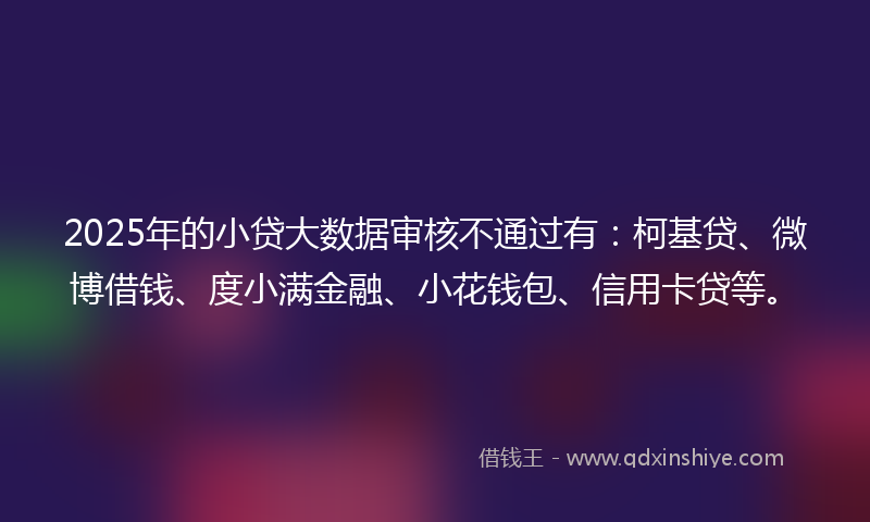 2025年的小贷大数据审核不通过有：柯基贷、微博借钱、度小满金融、小花钱包、信用卡贷等。