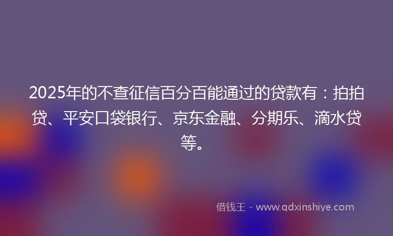 2025年的不查征信百分百能通过的贷款有：拍拍贷、平安口袋银行、京东金融、分期乐、滴水贷等。
