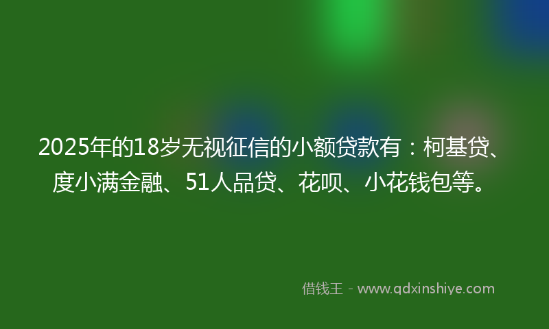 2025年的18岁无视征信的小额贷款有：柯基贷、度小满金融、51人品贷、花呗、小花钱包等。