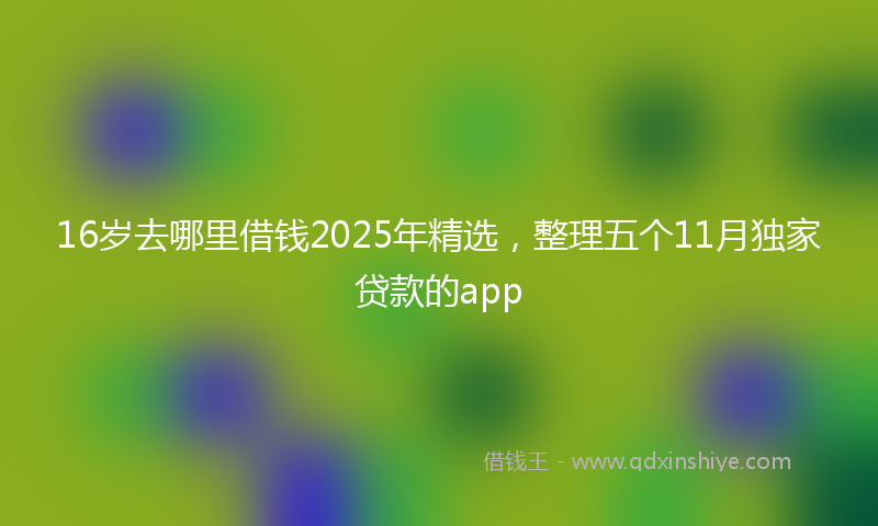 16岁去哪里借钱2025年精选，整理五个11月独家贷款的app