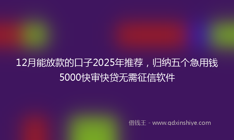 12月能放款的口子2025年推荐，归纳五个急用钱5000快审快贷无需征信软件