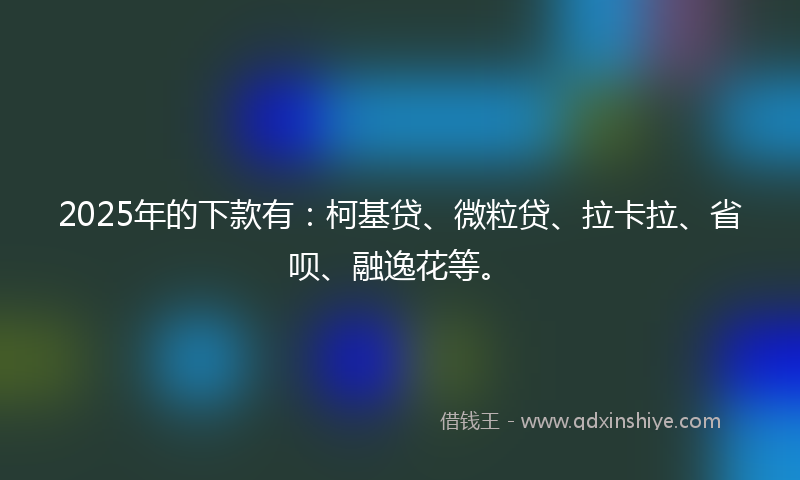 2025年的下款有：柯基贷、微粒贷、拉卡拉、省呗、融逸花等。