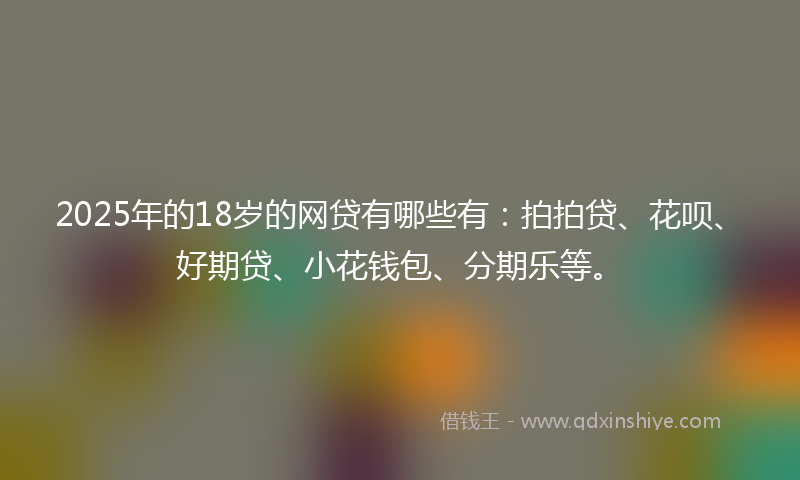 2025年的18岁的网贷有哪些有：拍拍贷、花呗、好期贷、小花钱包、分期乐等。