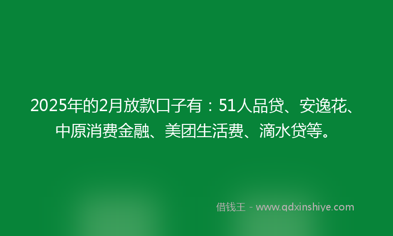 2025年的2月放款口子有：51人品贷、安逸花、中原消费金融、美团生活费、滴水贷等。