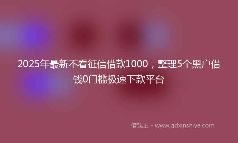2025年最新不看征信借款1000，整理5个黑户借钱0门槛极速下款平台