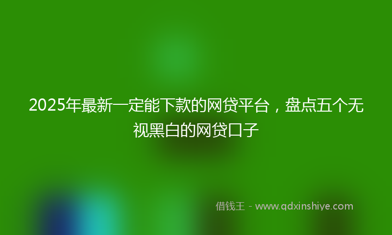 2025年最新一定能下款的网贷平台，盘点五个无视黑白的网贷口子