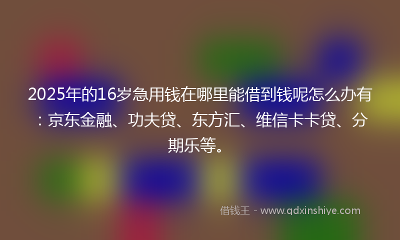 2025年的16岁急用钱在哪里能借到钱呢怎么办有：京东金融、功夫贷、东方汇、维信卡卡贷、分期乐等。