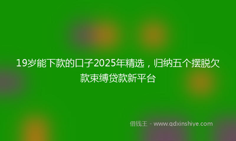 19岁能下款的口子2025年精选，归纳五个摆脱欠款束缚贷款新平台