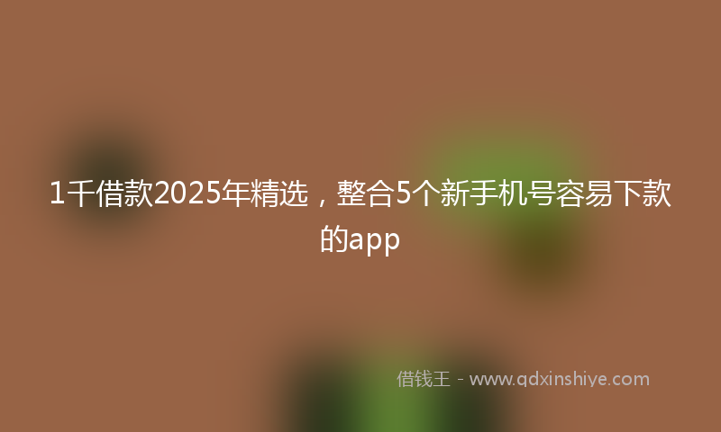 1千借款2025年精选，整合5个新手机号容易下款的app