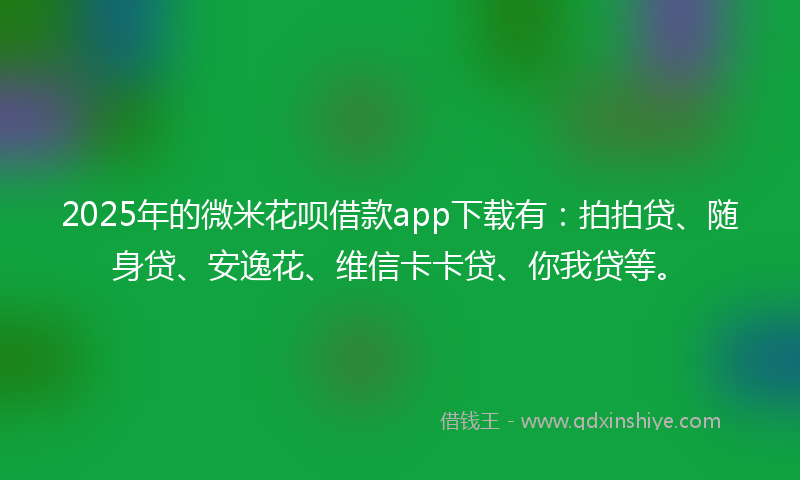 2025年的微米花呗借款app下载有：拍拍贷、随身贷、安逸花、维信卡卡贷、你我贷等。