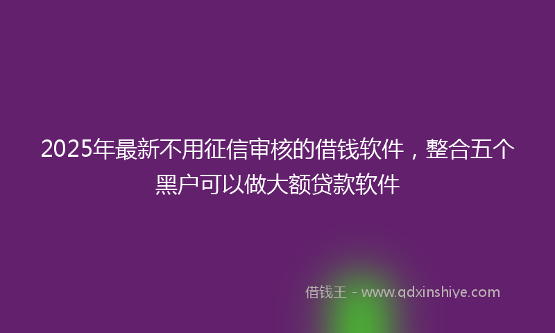 2025年最新不用征信审核的借钱软件，整合五个黑户可以做大额贷款软件