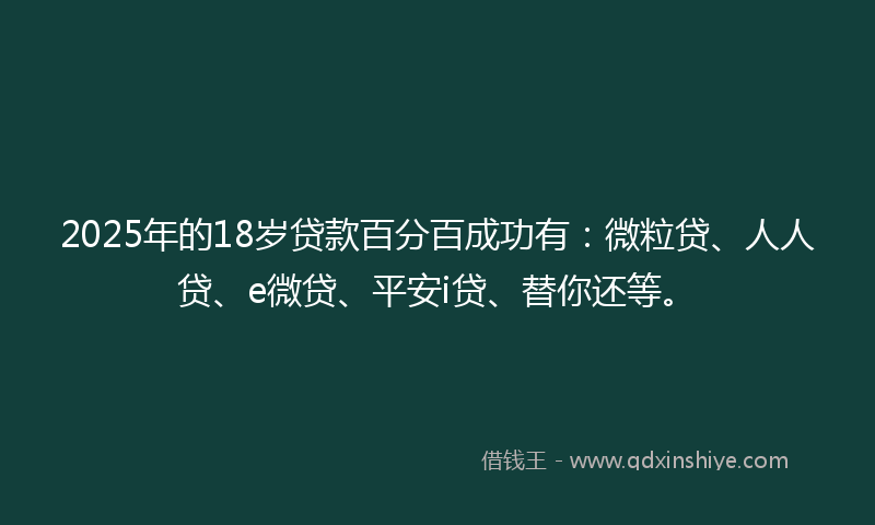 2025年的18岁贷款百分百成功有：微粒贷、人人贷、e微贷、平安i贷、替你还等。