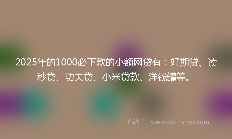 2025年的1000必下款的小额网贷有：好期贷、读秒贷、功夫贷、小米贷款、洋钱罐等。