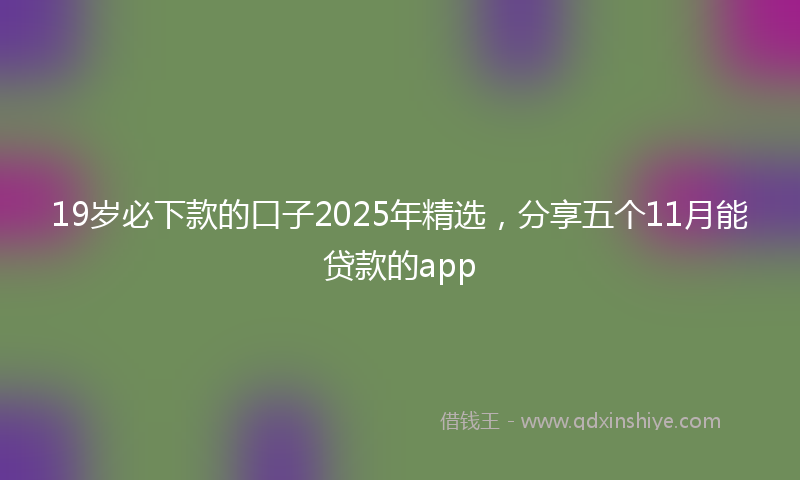 19岁必下款的口子2025年精选，分享五个11月能贷款的app