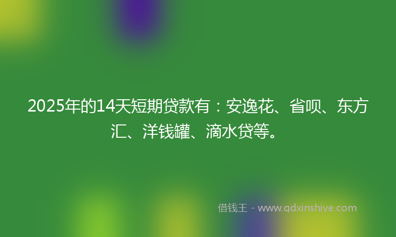 2025年的14天短期贷款有：安逸花、省呗、东方汇、洋钱罐、滴水贷等。