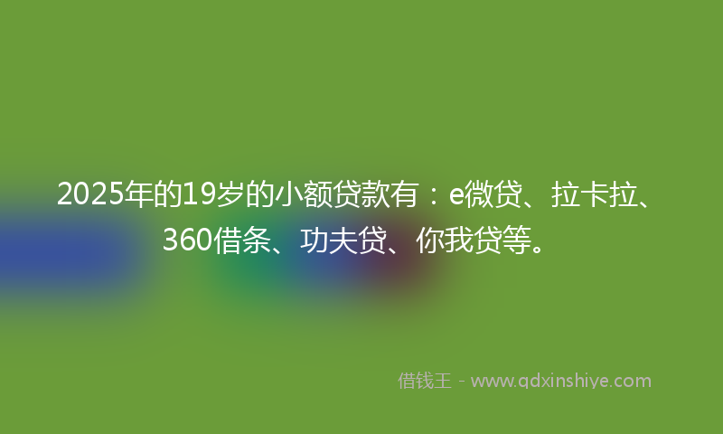 2025年的19岁的小额贷款有：e微贷、拉卡拉、360借条、功夫贷、你我贷等。