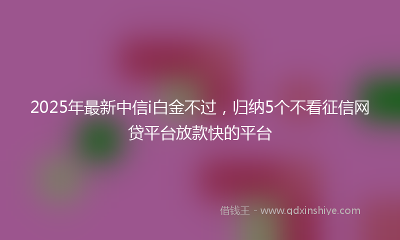 2025年最新中信i白金不过，归纳5个不看征信网贷平台放款快的平台