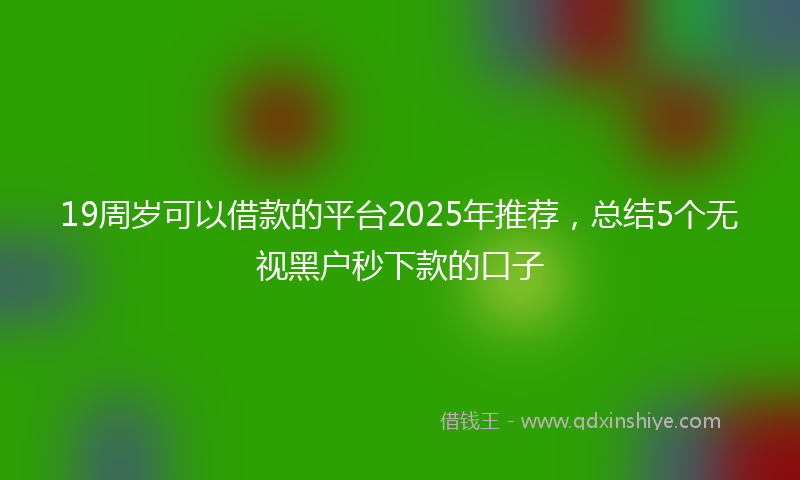 19周岁可以借款的平台2025年推荐，总结5个无视黑户秒下款的口子