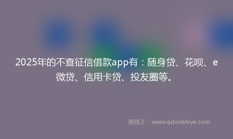2025年的不查征信借款app有：随身贷、花呗、e微贷、信用卡贷、投友圈等。