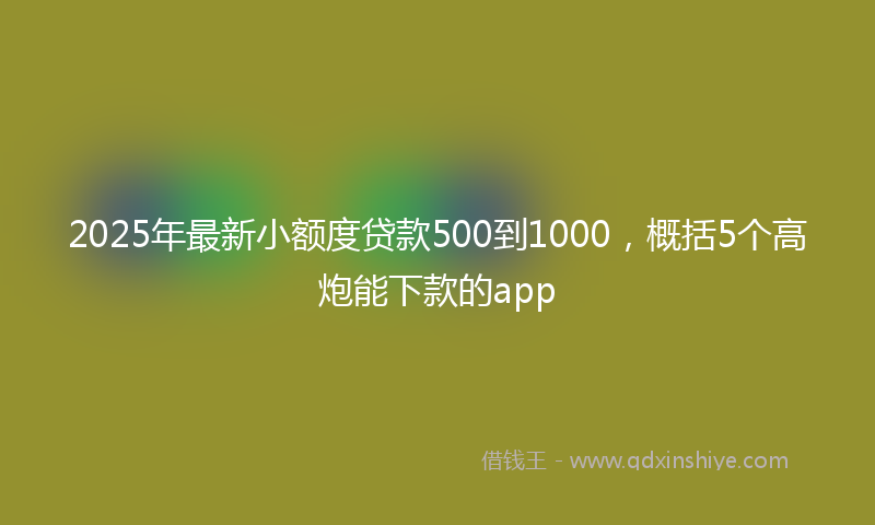 2025年最新小额度贷款500到1000，概括5个高炮能下款的app