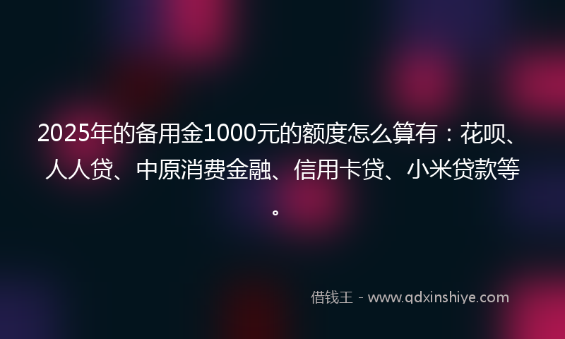 2025年的备用金1000元的额度怎么算有：花呗、人人贷、中原消费金融、信用卡贷、小米贷款等。