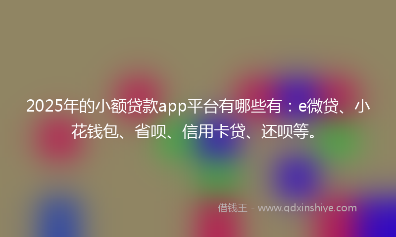 2025年的小额贷款app平台有哪些有：e微贷、小花钱包、省呗、信用卡贷、还呗等。