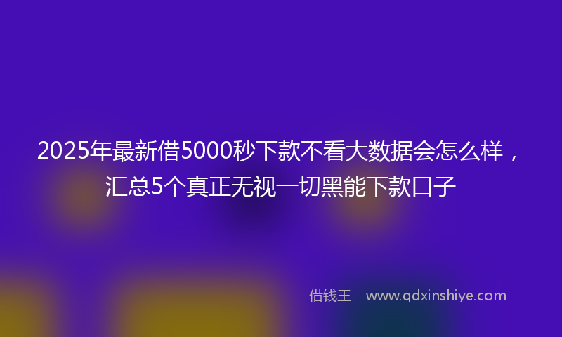 2025年最新借5000秒下款不看大数据会怎么样，汇总5个真正无视一切黑能下款口子