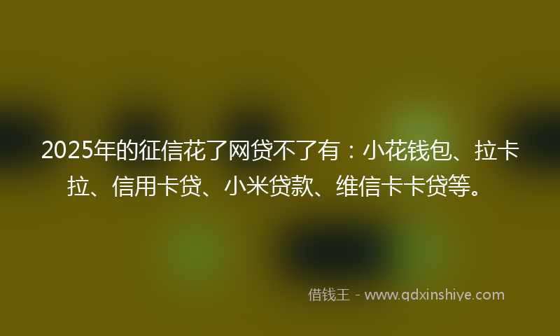 2025年的征信花了网贷不了有：小花钱包、拉卡拉、信用卡贷、小米贷款、维信卡卡贷等。