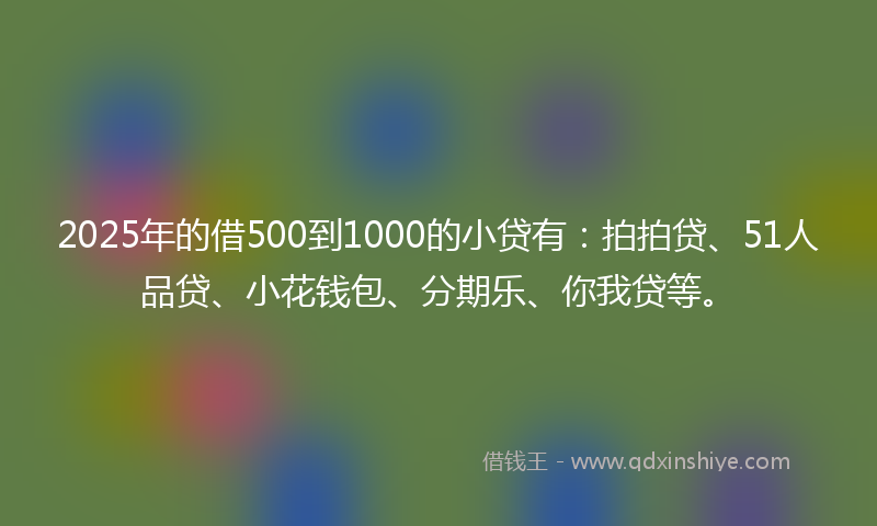 2025年的借500到1000的小贷有：拍拍贷、51人品贷、小花钱包、分期乐、你我贷等。