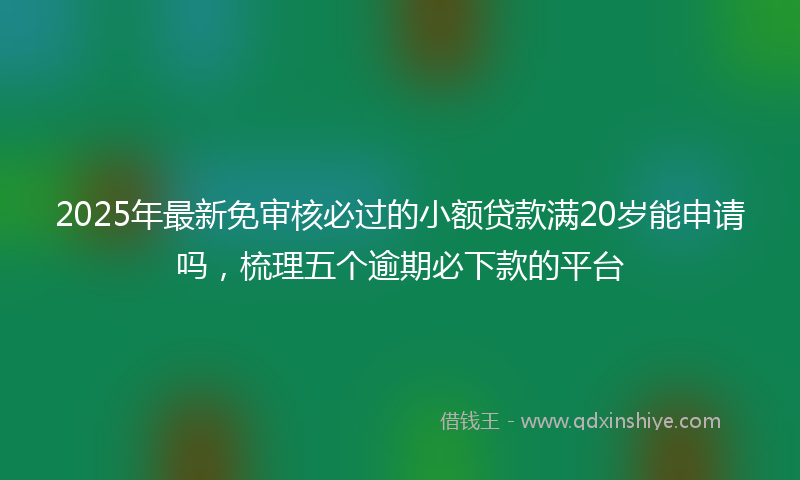 2025年最新免审核必过的小额贷款满20岁能申请吗，梳理五个逾期必下款的平台