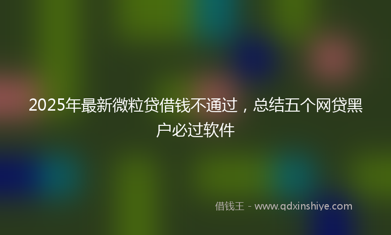 2025年最新微粒贷借钱不通过，总结五个网贷黑户必过软件