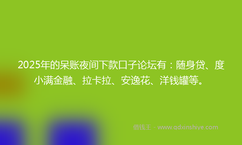 2025年的呆账夜间下款口子论坛有：随身贷、度小满金融、拉卡拉、安逸花、洋钱罐等。