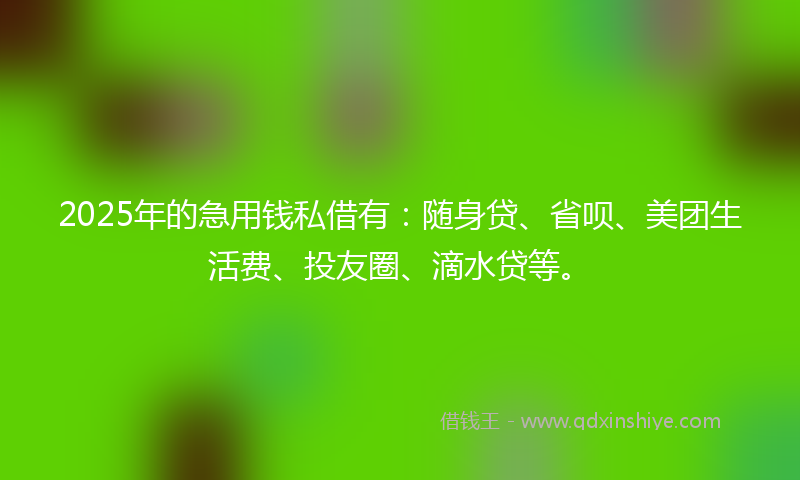 2025年的急用钱私借有：随身贷、省呗、美团生活费、投友圈、滴水贷等。