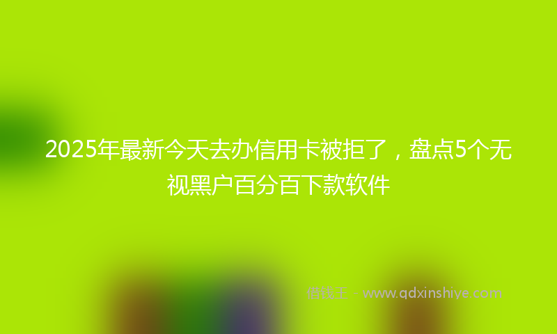 2025年最新今天去办信用卡被拒了，盘点5个无视黑户百分百下款软件