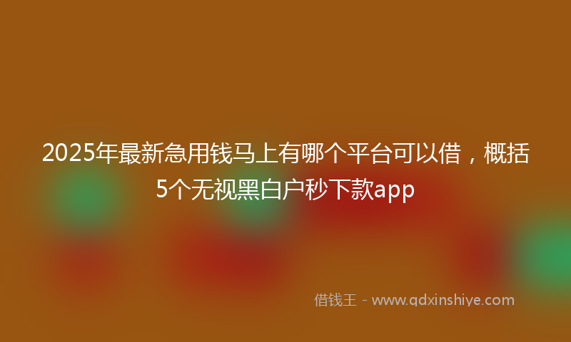 2025年最新急用钱马上有哪个平台可以借，概括5个无视黑白户秒下款app