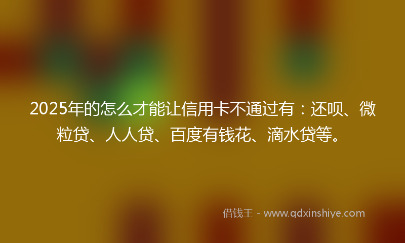 2025年的怎么才能让信用卡不通过有：还呗、微粒贷、人人贷、百度有钱花、滴水贷等。