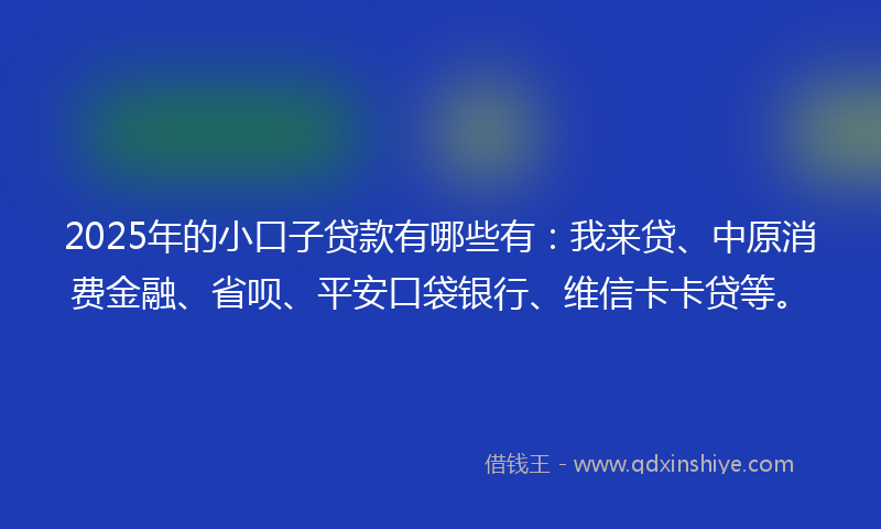 2025年的小口子贷款有哪些有：我来贷、中原消费金融、省呗、平安口袋银行、维信卡卡贷等。