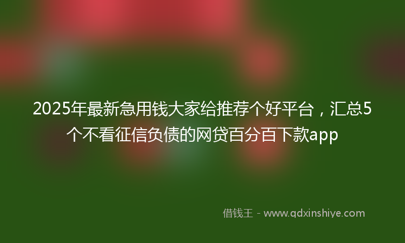 2025年最新急用钱大家给推荐个好平台，汇总5个不看征信负债的网贷百分百下款app