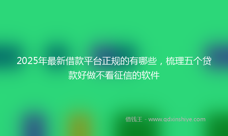 2025年最新借款平台正规的有哪些，梳理五个贷款好做不看征信的软件
