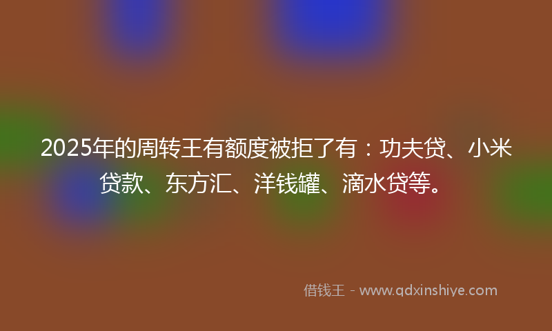 2025年的周转王有额度被拒了有：功夫贷、小米贷款、东方汇、洋钱罐、滴水贷等。