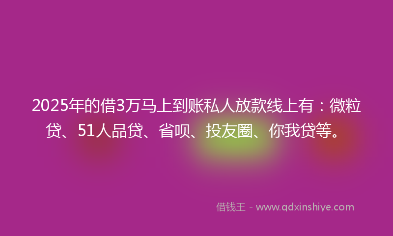 2025年的借3万马上到账私人放款线上有：微粒贷、51人品贷、省呗、投友圈、你我贷等。