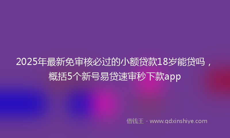 2025年最新免审核必过的小额贷款18岁能贷吗，概括5个新号易贷速审秒下款app
