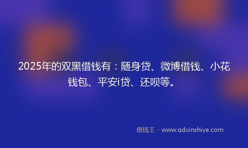 2025年的双黑借钱有：随身贷、微博借钱、小花钱包、平安i贷、还呗等。