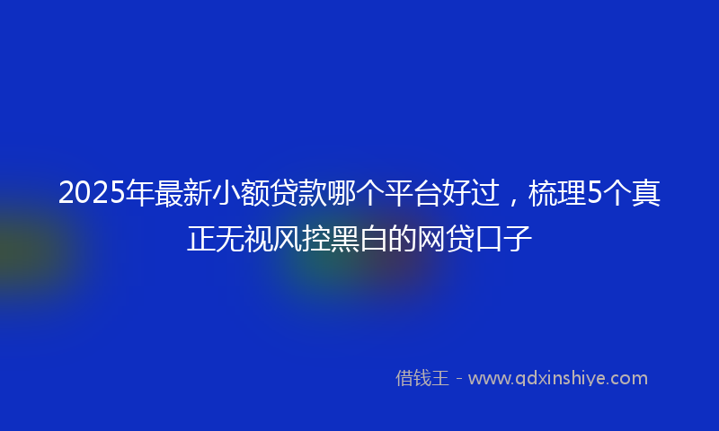 2025年最新小额贷款哪个平台好过，梳理5个真正无视风控黑白的网贷口子