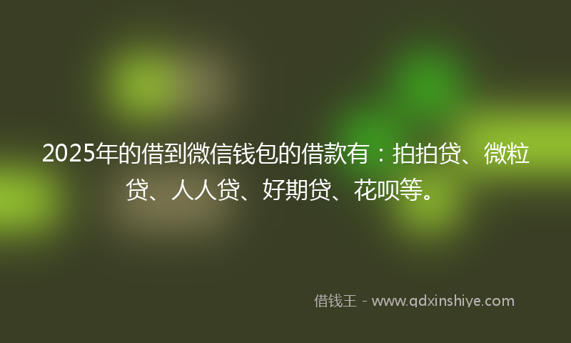 2025年的借到微信钱包的借款有：拍拍贷、微粒贷、人人贷、好期贷、花呗等。