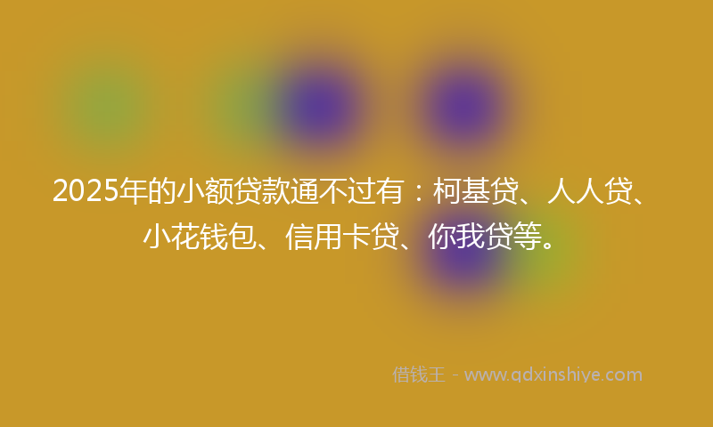 2025年的小额贷款通不过有：柯基贷、人人贷、小花钱包、信用卡贷、你我贷等。